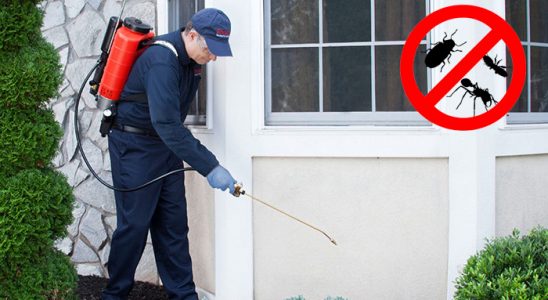 Fatsa Gümüşkurt İlaçlama böcek ilaçlama ve haşere kontrolü — ilaclama-tr.com